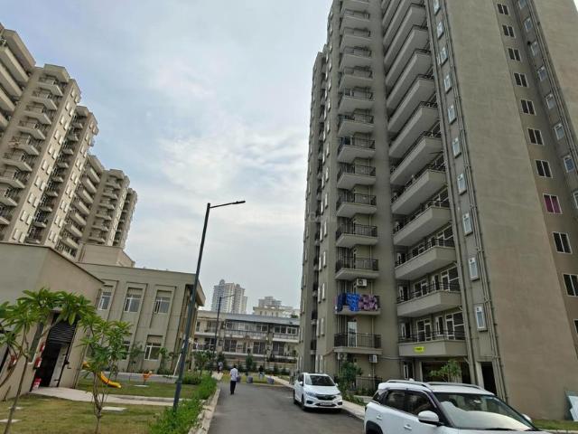 3 BHK Apartment in Southern Peripheral Road for rent Gurgaon. The reference number is 21132325