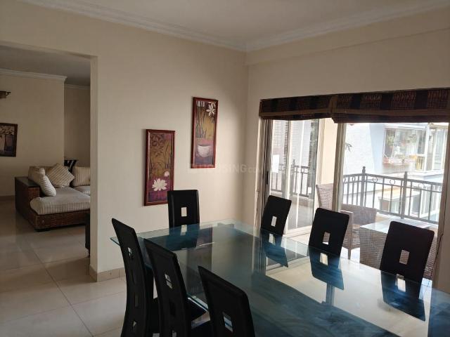 3 BHK Apartment in Sampangi Rama Nagar for rent Bengaluru. The reference number is 21211410