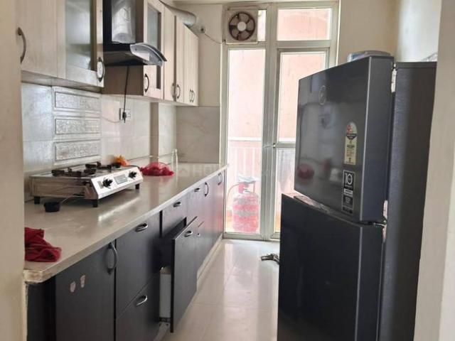 3 BHK Apartment in Sector 14 for rent Gurgaon. The reference number is 20502497