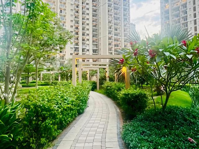 3 BHK Apartment in Sector 150 for rent Noida. The reference number is 20789079