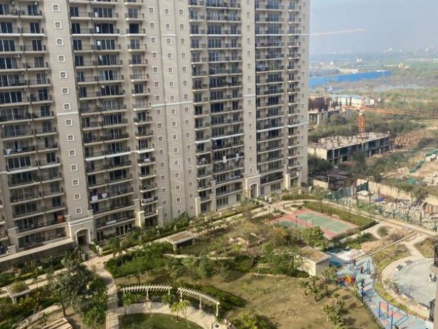 3 BHK Apartment in Sector 150 for rent Noida. The reference number is 20829088