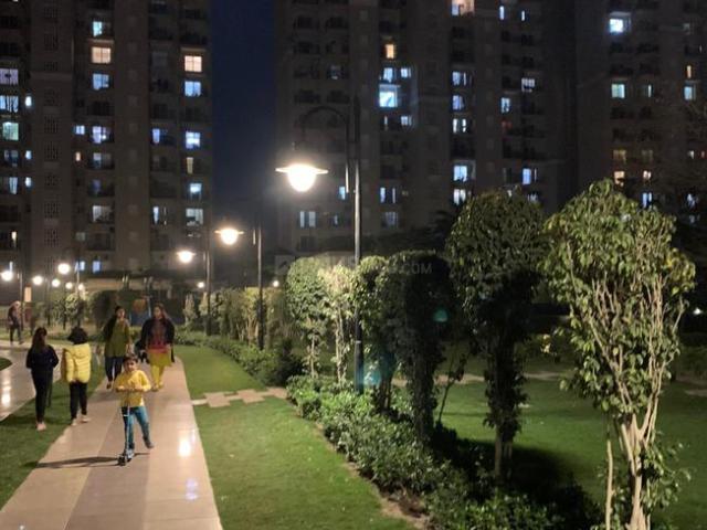 3 BHK Apartment in Sector 150 for rent Noida. The reference number is 21019856