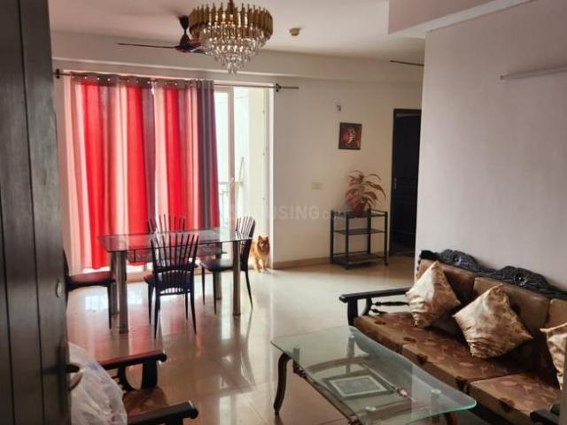 3 BHK Apartment in Sector 168 for rent Noida. The reference number is 20726068