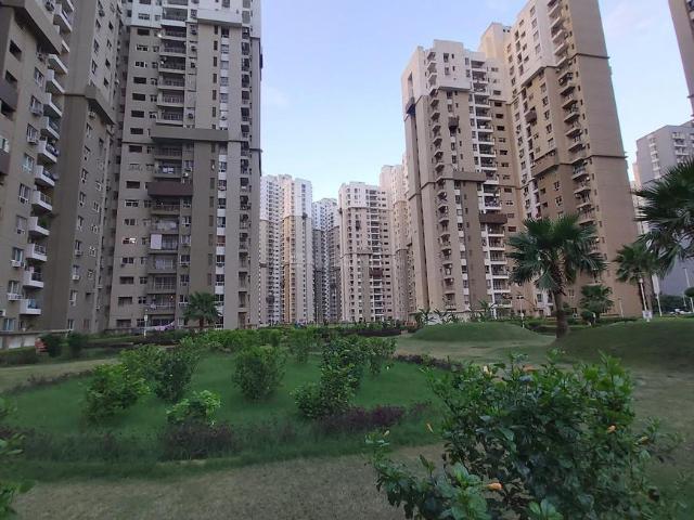 3 BHK Apartment in Sector 100 for rent Noida. The reference number is 20805376