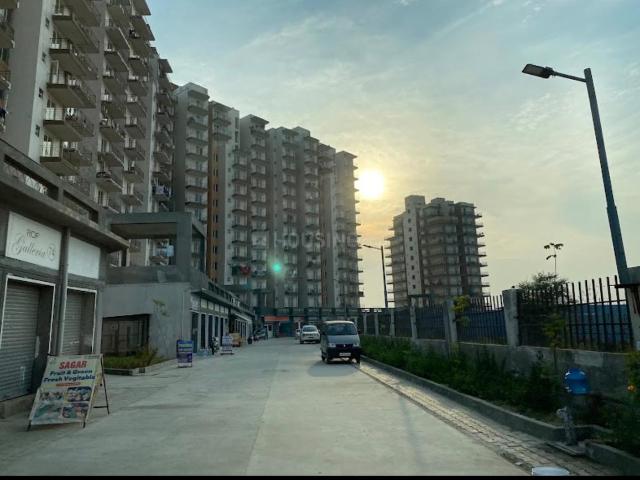 3 BHK Apartment in Sector 102 for resale Gurgaon. The reference number is 21034537