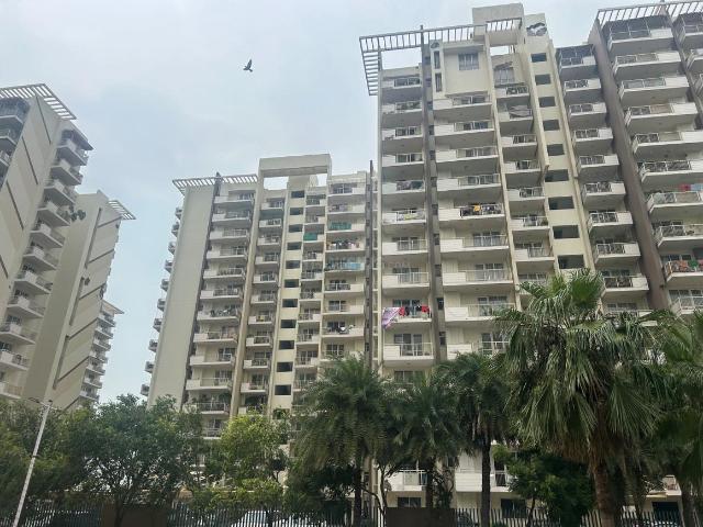 3 BHK Apartment in Sector 107 for resale Gurgaon. The reference number is 21165684