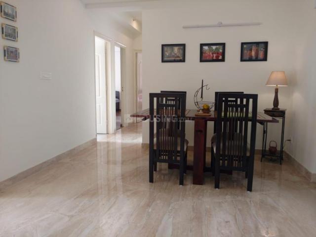 3 BHK Apartment in Sector 109 for rent Gurgaon. The reference number is 20488712