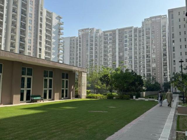 3 BHK Apartment in Sector 113 for rent Gurgaon. The reference number is 20021398