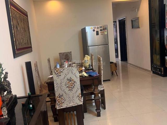 3 BHK Apartment in Sector 120 for rent Noida. The reference number is 20709333