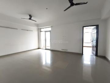 Hazipur Noida, Noida, Gautam Buddha Nagar District, Delhi