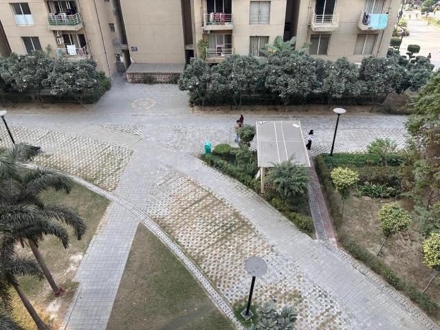 3 BHK Apartment in Sector 131 for resale Noida. The reference number is 20419862