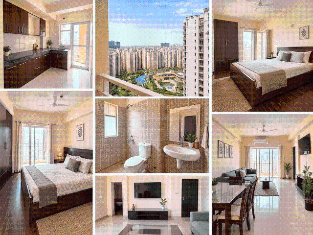 3 BHK Apartment in Sector 137 for rent Noida. The reference number is 21146867