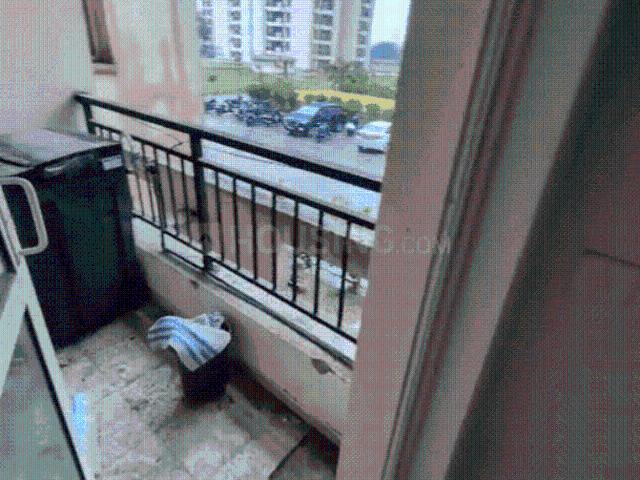 3 BHK Apartment in Sector 134 for rent Noida. The reference number is 20701146