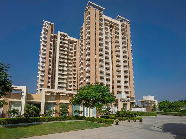 3 BHK Apartment in Sector 2 for rent Sohna. The reference number is 20904949