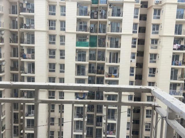 3 BHK Apartment in Sector 37D for rent Gurgaon. The reference number is 19962863