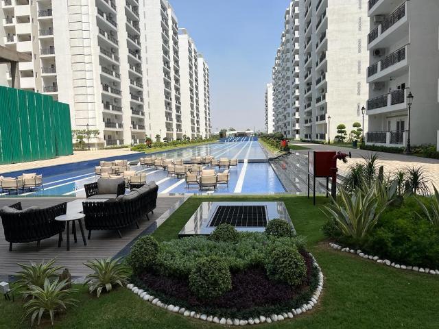 3 BHK Apartment in Sector 33 for rent Sohna. The reference number is 20177635