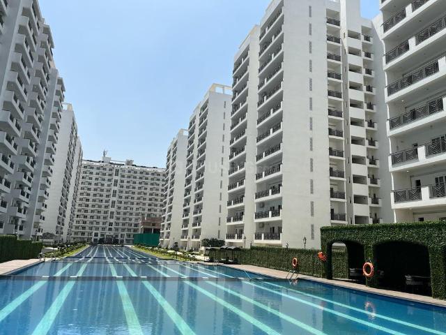 3 BHK Apartment in Sector 33 for rent Sohna. The reference number is 20629593