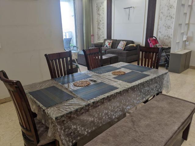 3 BHK Apartment in Sector 3 for rent Gurgaon. The reference number is 20696308