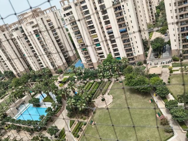 3 BHK Apartment in Sector 49 for rent Gurgaon. The reference number is 20877593