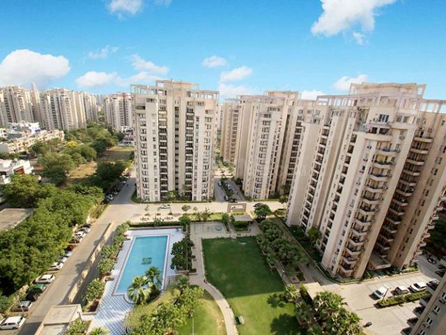 3 BHK Apartment in Sector 49 for rent Gurgaon. The reference number is 20996743