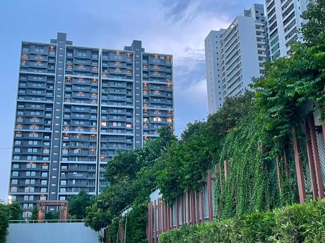 3 BHK Apartment in Sector 43 for rent Noida. The reference number is 21205731