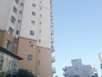 3 BHK Apartment in Sector 57 for rent Gurgaon. The reference number is 20261005