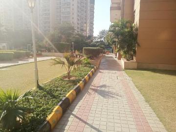 3 BHK Apartment in Sector 57 for resale Gurgaon. The reference number is 20254483