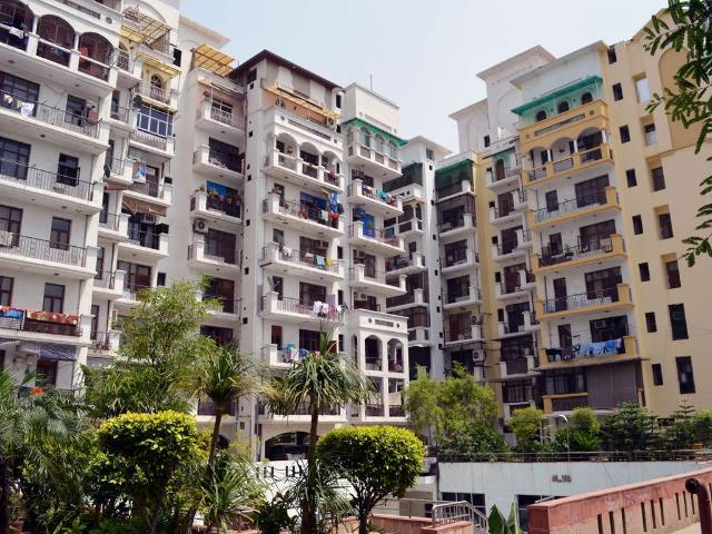 3 BHK Apartment in Sector 50 for rent Noida. The reference number is 20915501