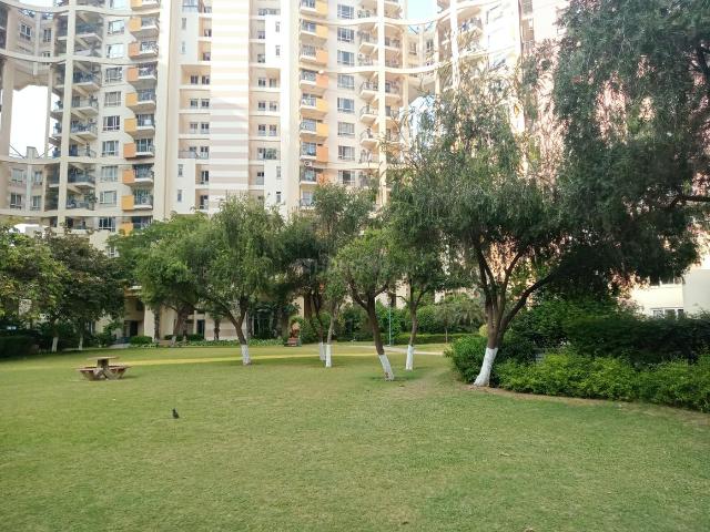 3 BHK Apartment in Sector 50 for resale Gurgaon. The reference number is 20255104