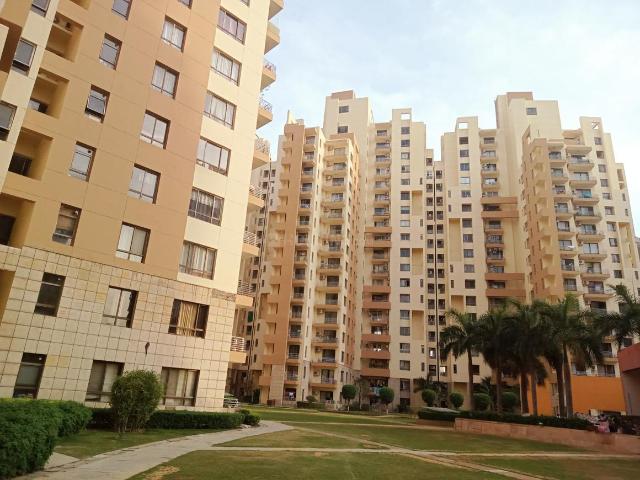 3 BHK Apartment in Sector 50 for resale Gurgaon. The reference number is 20720689