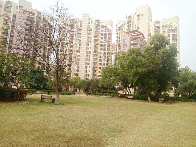 3 BHK Apartment in Sector 50 for resale Gurgaon. The reference number is 21083662