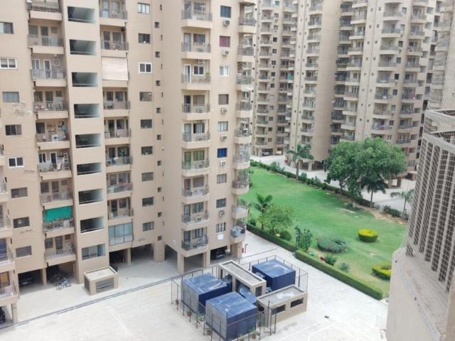 3 BHK Apartment in Sector 52 for rent Gurgaon. The reference number is 20453115