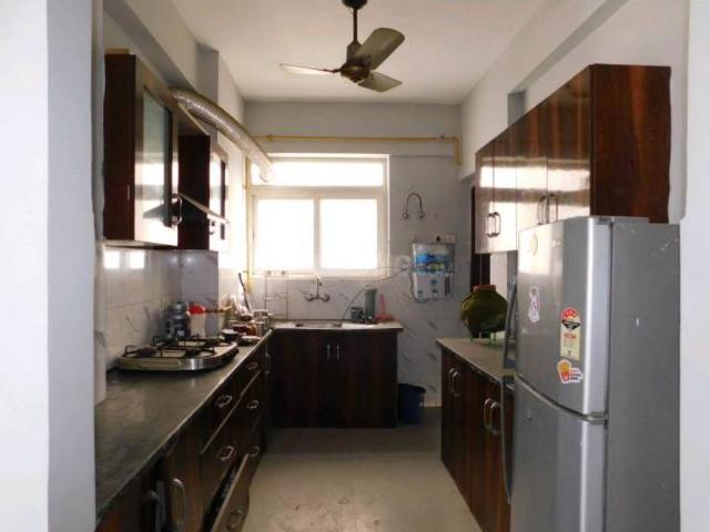 3 BHK Apartment in Sector 52 for resale Noida. The reference number is 20717369