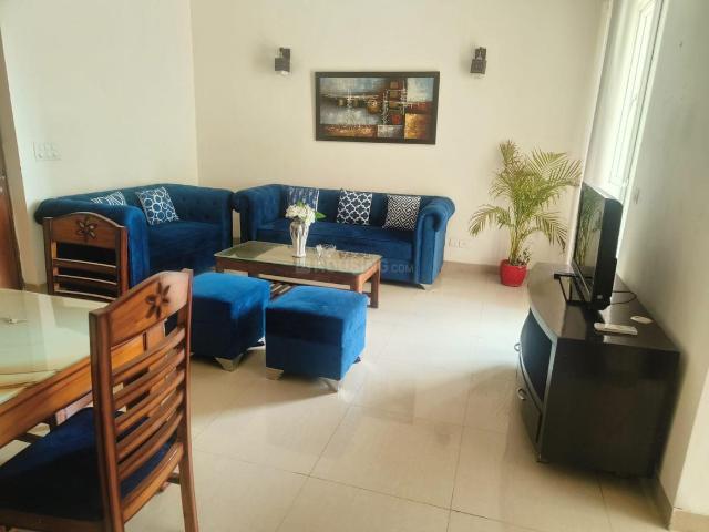 3 BHK Apartment in Sector 65 for rent Gurgaon. The reference number is 20881845