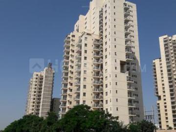 3 BHK Apartment in Sector 66 for rent Gurgaon. The reference number is 20452737