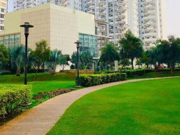 3 BHK Apartment in Sector 66 for rent Gurgaon. The reference number is 20176999