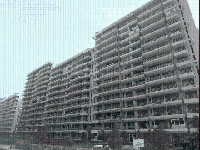 3 BHK Apartment in Sector 61 for resale Sonipat. The reference number is 20870517
