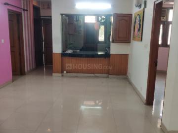 Sector-119 Noida, New Delhi, Delhi - Balcony