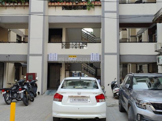 3 BHK Apartment in Sector 63 for rent Mohali. The reference number is 8215135