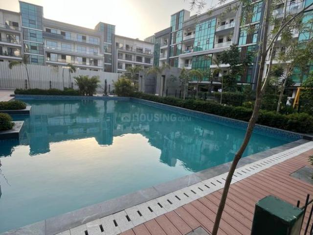 3 BHK Apartment in Kadarpur for rent Gurgaon. The reference number is 20189702
