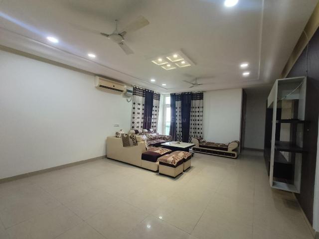 3 BHK Apartment in Sector 63 for rent Sonipat. The reference number is 19951196