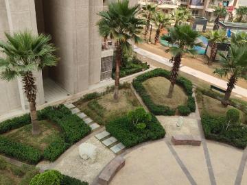 3 BHK Apartment in Sector 74 for rent Noida. The reference number is 20247331