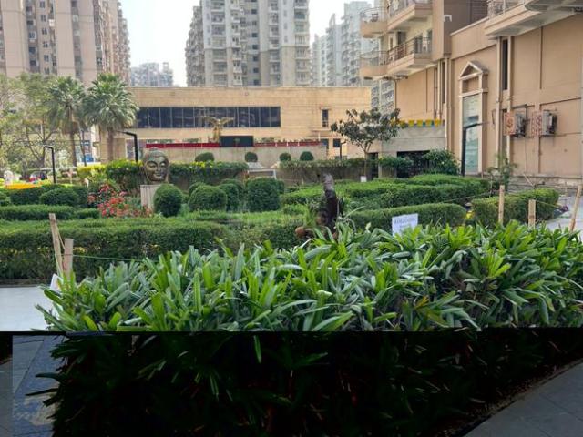3 BHK Apartment in Sector 74 for resale Noida. The reference number is 20041176