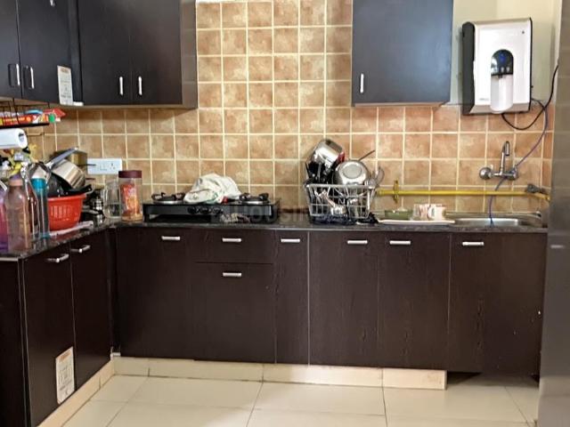 3 BHK Apartment in Sector 75 for rent Noida. The reference number is 16533359