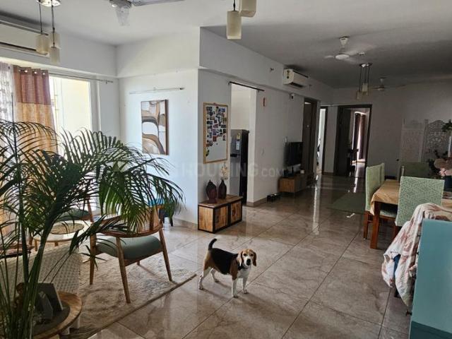 3 BHK Apartment in Sector 77 for resale Gurgaon. The reference number is 20419458