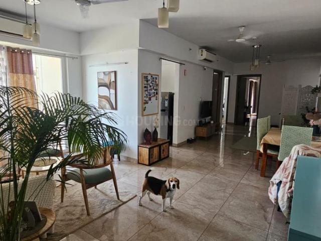 3 BHK Apartment in Sector 77 for resale Gurgaon. The reference number is 21173418