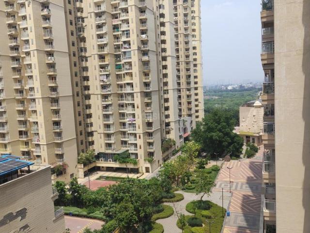 3 BHK Apartment in Sector 79 for rent Noida. The reference number is 20604782