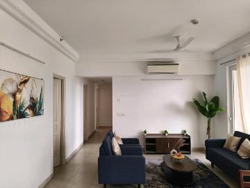 The Peaceful Homes, Visionnaire Homes, Palra Gurgaon, Gurgaon District, Haryana State