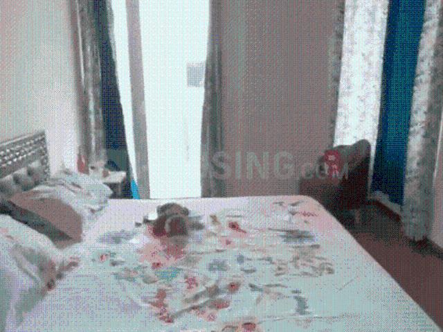 3 BHK Apartment in Sector 89 for rent Gurgaon. The reference number is 20637542