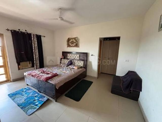 3 BHK Apartment in Sector 80 for rent Mohali. The reference number is 21218929
